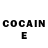 Cocaine Fish Scale Oleg Aldekein